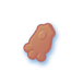 Brown — Azotobacter chroococcum